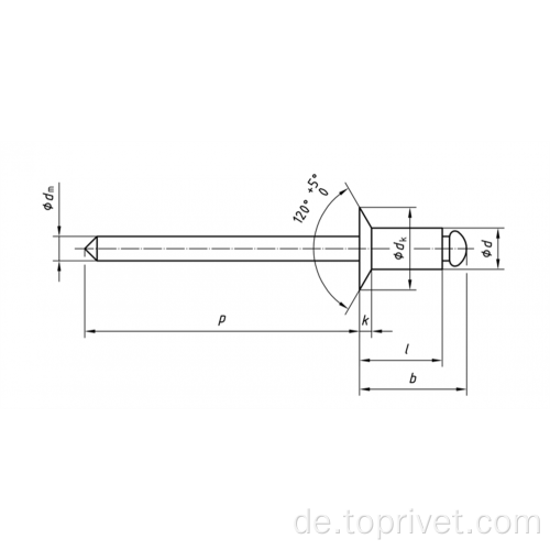 Aluminium/Edelstahl Counterunk Open Typ Blind Nieten